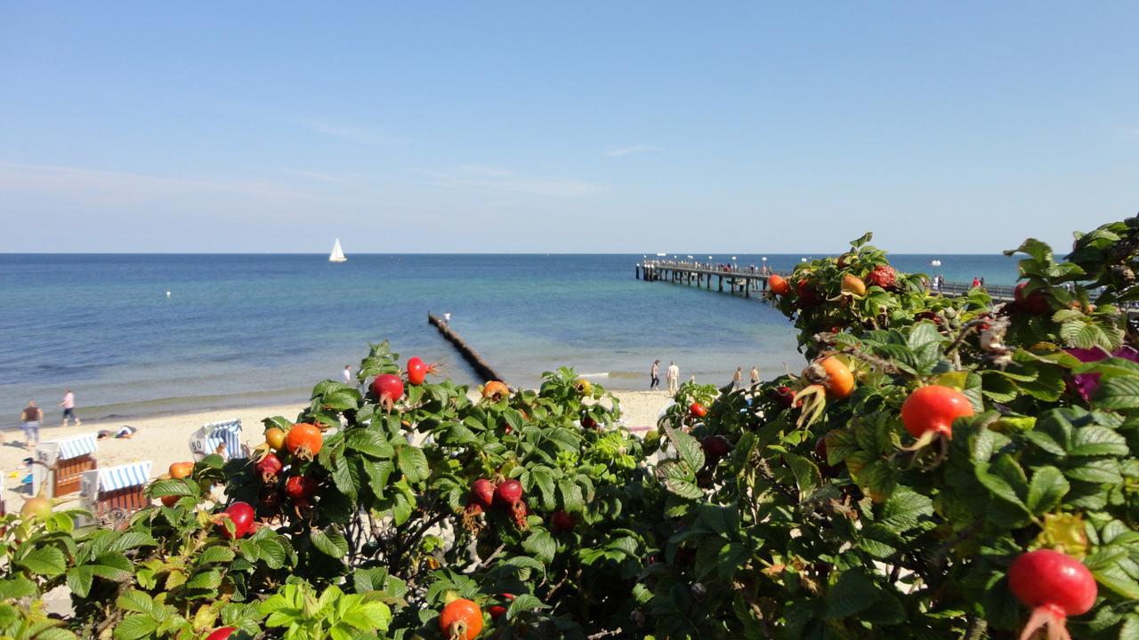 爱迪生酒店 Ostseebad Kühlungsborn 外观 照片